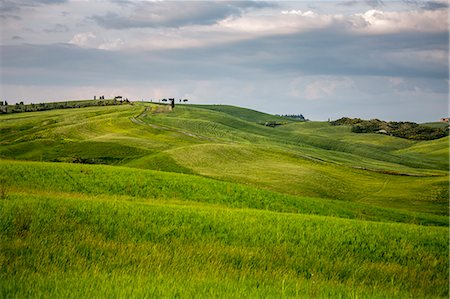 simsearch:879-09191594,k - Fields in Orcia Valley. Siena district, Tuscany, Italy. Stock Photo - Rights-Managed, Code: 879-09043428