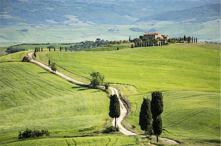 simsearch:6129-09044119,k - Road with cypresses and a farmhouse. Orcia Valley, Siena district, Tuscany, Italy. Photographie de stock - Rights-Managed, Code: 879-09043430