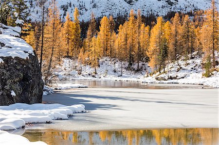 simsearch:879-09100367,k - Larches reflections on the iced waters of Mufule Lake. Valmalenco, Valtellina, Sondrio, Lombardy, Italy, Europe. Photographie de stock - Rights-Managed, Code: 879-09043475