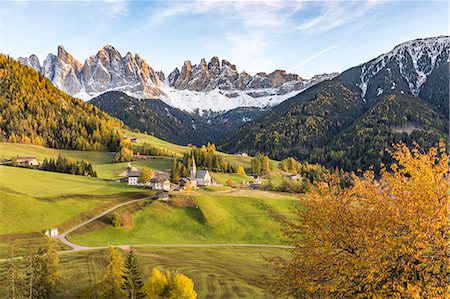 feuilles d'automne - Autumnal cherry tree with Santa Maddalena village and Odle Dolomites peaks on the background. Santa Maddalena, Funes, Bolzano, Trentino Alto Adige - Sudtirol, Italy, Europe. Photographie de stock - Rights-Managed, Code: 879-09043497