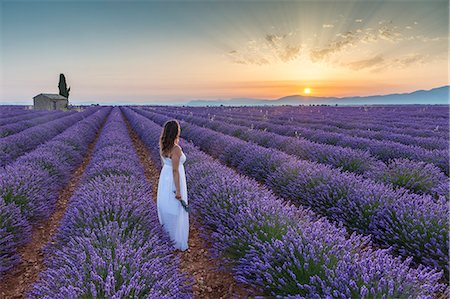 simsearch:879-09043499,k - Woman at dawn in a lavender field. Plateau de Valensole, Alpes-de-Haute-Provence, Provence-Alpes-Cote d'Azur, France. Fotografie stock - Rights-Managed, Codice: 879-09043508