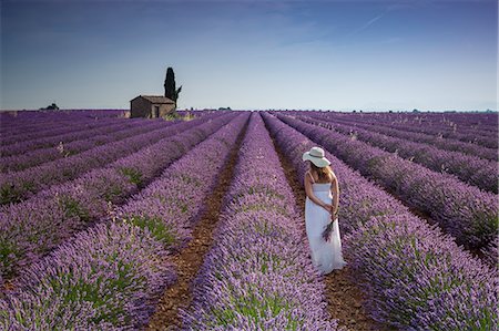 simsearch:879-09043519,k - Woman with hat in a lavender field. Plateau de Valensole, Alpes-de-Haute-Provence, Provence-Alpes-Cote d'Azur, France, Europe. Foto de stock - Direito Controlado, Número: 879-09043524