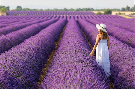 simsearch:879-09043499,k - Woman with hat in a lavender field. Plateau de Valensole, Alpes-de-Haute-Provence, Provence-Alpes-Cote d'Azur, France, Europe. Fotografie stock - Rights-Managed, Codice: 879-09043529