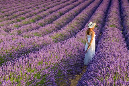 simsearch:6129-09057750,k - Woman with hat in a lavender field. Plateau de Valensole, Alpes-de-Haute-Provence, Provence-Alpes-Cote d'Azur, France, Europe. Stock Photo - Rights-Managed, Code: 879-09043522