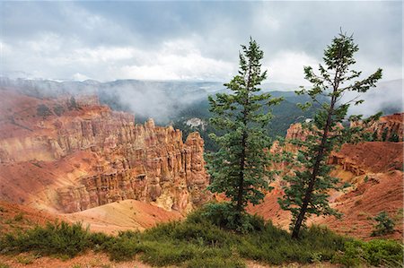 Black Birch Canyon. Bryce Canyon National Park, Garfield County, Utah, USA. Stock Photo - Rights-Managed, Code: 879-09043566