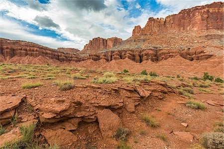 simsearch:879-09043582,k - Capitol Reef National Park, Wayne County, Utah, USA. Fotografie stock - Rights-Managed, Codice: 879-09043569