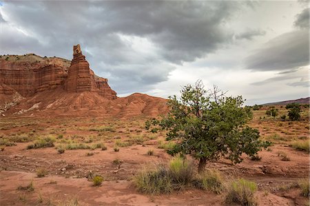 Chimney Rock. Capitol Reef National Park, Wayne County, Utah, USA. Photographie de stock - Rights-Managed, Code: 879-09043575