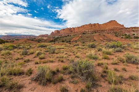 simsearch:879-09043582,k - Capitol Reef National Park, Wayne County, Utah, USA. Fotografie stock - Rights-Managed, Codice: 879-09043572