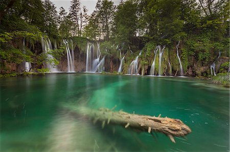 Plitvice National park, Croatia. A trunk into a lake and waterfalls. Stock Photo - Rights-Managed, Code: 879-09043608