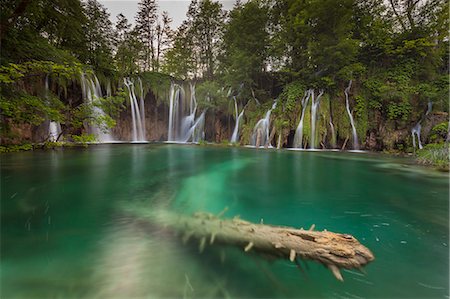 plitvice waterfalls croatia - Plitvice National park, Croatia. A trunk into a lake and waterfalls. Stock Photo - Rights-Managed, Code: 879-09043608