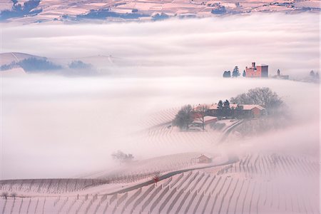 Italy, Piedmont, Cuneo District, Langhe - winter fog in Grinzane Cavour Stock Photo - Rights-Managed, Code: 879-09043620