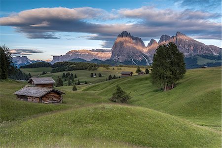 simsearch:879-09043858,k - Alpe di Siusi/Seiser Alm, Dolomites, South Tyrol, Italy. The last rays of sun at the Alpe di Siusi/Seiser Alm. In the background the peaks of Sella, Sassolungo/Langkofel and Sassopiatto/Plattkofel Stock Photo - Rights-Managed, Code: 879-09043696