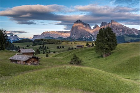 simsearch:879-09190765,k - Alpe di Siusi/Seiser Alm, Dolomites, South Tyrol, Italy. The last rays of sun at the Alpe di Siusi/Seiser Alm. In the background the peaks of Sella, Sassolungo/Langkofel and Sassopiatto/Plattkofel Foto de stock - Con derechos protegidos, Código: 879-09043696