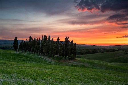 san quirico d'orcia - Val d'orcia - Tuscany,Italy Photographie de stock - Rights-Managed, Code: 879-09043734