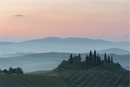 simsearch:879-09191594,k - Val d'orcia - Tuscany,Italy Stock Photo - Rights-Managed, Code: 879-09043739