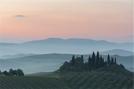 podere belvedere - Val d'orcia - Tuscany,Italy Stock Photo - Rights-Managed, Code: 879-09043739