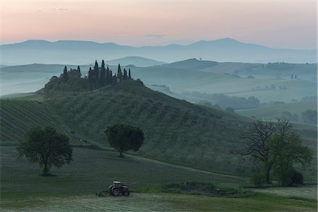 podere belvedere - Val d'orcia - Tuscany,Italy Foto de stock - Direito Controlado, Número: 879-09043740