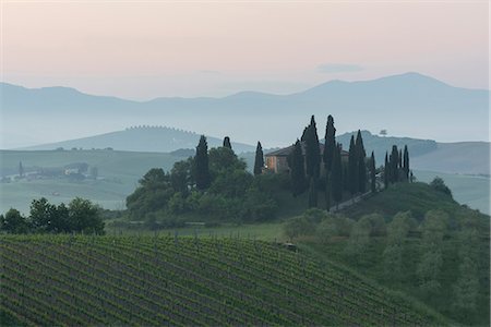 simsearch:6129-09044993,k - Val d'orcia - Tuscany,Italy Foto de stock - Con derechos protegidos, Código: 879-09043742