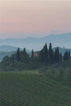 podere belvedere - Val d'orcia - Tuscany,Italy Foto de stock - Direito Controlado, Número: 879-09043743