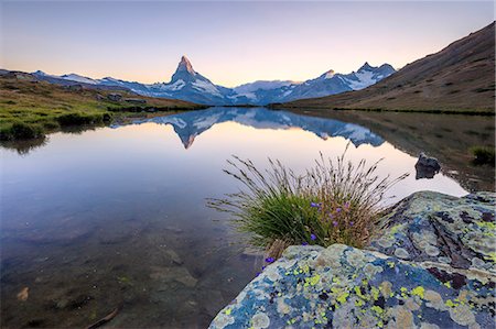 The Matterhorn reflected in Lake Stellisee at dawn Zermatt Pennine Alps Canton of Valais Switzerland Europe Foto de stock - Direito Controlado, Número: 879-09043873