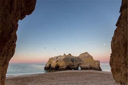sonnenaufgang - Birds flying on cliffs and ocean under the pink sky at dawn at Praia da Rocha Portimao Faro district Algarve Portugal Europe Stockbilder - Lizenzpflichtiges, Bildnummer: 879-09043897
