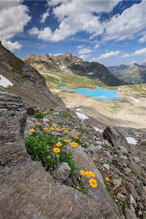 simsearch:879-09034140,k - Turquoise lake framed by yellow flowers and rocky peaks Joriseen Jörifless Pass canton of Graubünden Engadin Switzerland Europe Photographie de stock - Rights-Managed, Code: 879-09043945