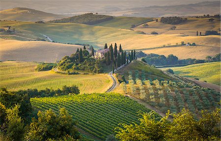 europe villa - Val d'Orcia, Tuscany, Italy Stock Photo - Rights-Managed, Code: 879-09043970