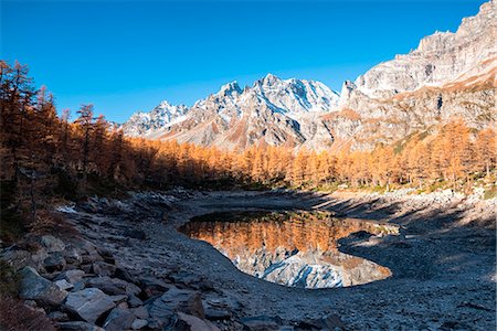 Snowy peaks are reflected in Lago Nero during the autumn, Alpe Devero, Province of Verbano Cusio - Ossola, Piedmont, Italy, Europe Stockbilder - Lizenzpflichtiges, Bildnummer: 879-09099917