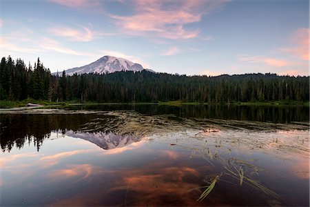 Mount Rainier from Reflection Lakes; Mount Rainier National Park, Ashford; State of Washington; Usa Photographie de stock - Rights-Managed, Code: 879-09099927