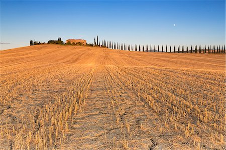 siena farmhouse - Europe,Italy,Siena district,Orcia Valley, San Quirico d'Orcia. Stock Photo - Rights-Managed, Code: 879-09100014