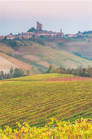 province of cuneo - Italy, Piedmont, Cuneo District, Barolo, Langhe Barolo at sunrise Photographie de stock - Rights-Managed, Code: 879-09100067