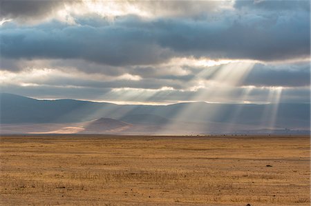 savanne - Tanzania, Africa,Ngorongoro Conservation Area,sunshine in the clouds Stockbilder - Lizenzpflichtiges, Bildnummer: 879-09100176