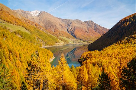 feuilles d'automne - A panoramic view between larches of Verlago lake in autumn. Verlago, Senales valley, , Bolzano, South Tyrol, Italy, Europe Photographie de stock - Rights-Managed, Code: 879-09100361