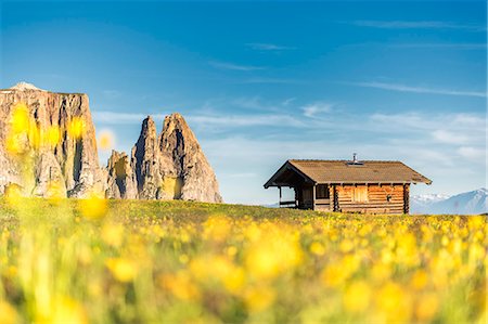 simsearch:879-09190740,k - Alpe di Siusi/Seiser Alm, Dolomites, South Tyrol, Italy. Stock Photo - Rights-Managed, Code: 879-09100595