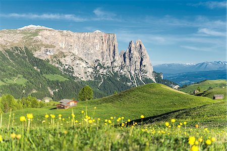 simsearch:879-09100557,k - Alpe di Siusi/Seiser Alm, Dolomites, South Tyrol, Italy. Stockbilder - Lizenzpflichtiges, Bildnummer: 879-09100598