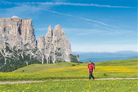 simsearch:879-09190787,k - Alpe di Siusi/Seiser Alm, Dolomites, South Tyrol, Italy. Hiker on the Alpe di Siusi Photographie de stock - Rights-Managed, Code: 879-09100600