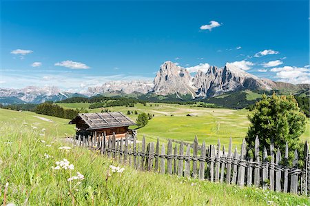 seiser alm - Alpe di Siusi/Seiser Alm, Dolomites, South Tyrol, Italy. Foto de stock - Con derechos protegidos, Código: 879-09100611