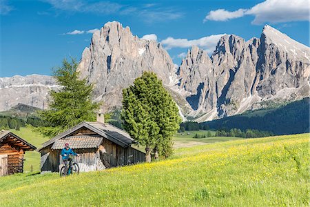simsearch:6129-09086922,k - Alpe di Siusi/Seiser Alm, Dolomites, South Tyrol, Italy. Mountainbiker on the Alpe di Siusi Photographie de stock - Rights-Managed, Code: 879-09100613