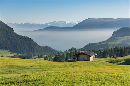 Alpe di Siusi/Seiser Alm, Dolomites, South Tyrol, Italy. Stock Photo - Rights-Managed, Code: 879-09100621