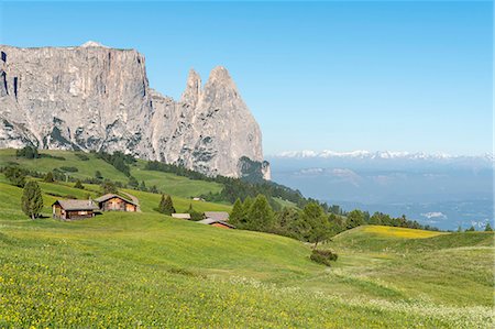 schlern - Alpe di Siusi/Seiser Alm, Dolomites, South Tyrol, Italy. Stock Photo - Rights-Managed, Code: 879-09100622