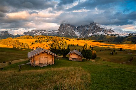 seiser alm - Alpe di Siusi/Seiser Alm, Dolomites, Kastelruth, South Tyrol, Italy. Foto de stock - Con derechos protegidos, Código: 879-09100769