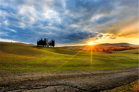 Sunset at San Quirico d'Orcia cypresses, Val d'Orcia, Tuscany, Italy Stock Photo - Rights-Managed, Code: 879-09100871