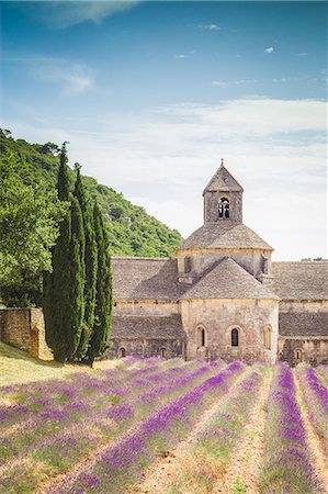 Senanque abbey, near Gordes, Provence, France Stock Photo - Rights-Managed, Code: 879-09100988