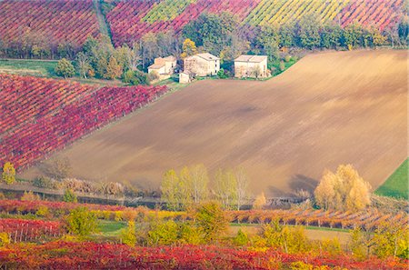 The countryside near Castelvetro, Modena Province, Emilia Romagna, Italy Photographie de stock - Rights-Managed, Code: 879-09101061