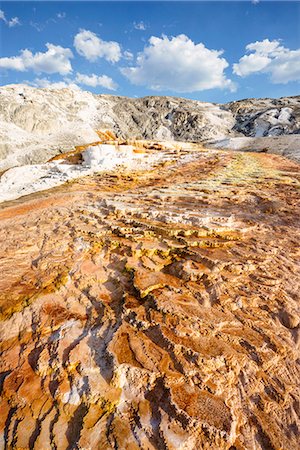 Mineral deposition at Mammoth Hot Springs, Yellowstone Natural Park; Wyoming; USA Foto de stock - Con derechos protegidos, Código: 879-09128734