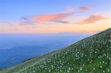 simsearch:879-09189661,k - Blooming of daffodils during sunset at Monte Linzone, Valico di Valcava(Valcava Pass), Val San Martino, Prealpi Bergamasche, Bergamo province, Lombardy, Italy. Foto de stock - Con derechos protegidos, Código: 879-09128917