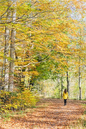 simsearch:879-09129095,k - Woman walking in a beech tree forest in autumn. Bad Tölz-Wolfratshausen district, Bavaria, Germany. Stock Photo - Rights-Managed, Code: 879-09128966