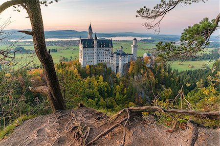 swabia - Neuschwanstein castle at dusk with tree and roots in the foreground. Schwangau, Schwaben, Bavaria, Germany. Stock Photo - Rights-Managed, Code: 879-09128971