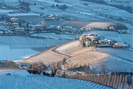 province of cuneo - The vineyards of the Langhe in winter.Italy, Piedmont, Langhe, Cuneo district. Photographie de stock - Rights-Managed, Code: 879-09129032