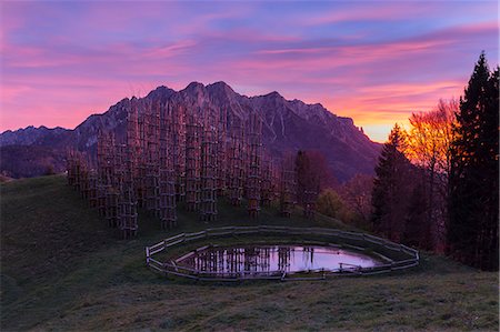 fall - Autumnal sunset at the Cattedrale Vegetale monument at Plassa hamlet, Oltre il Colle, Val Serina, Bergamo district, Lombardy, Italy. Stock Photo - Rights-Managed, Code: 879-09129068